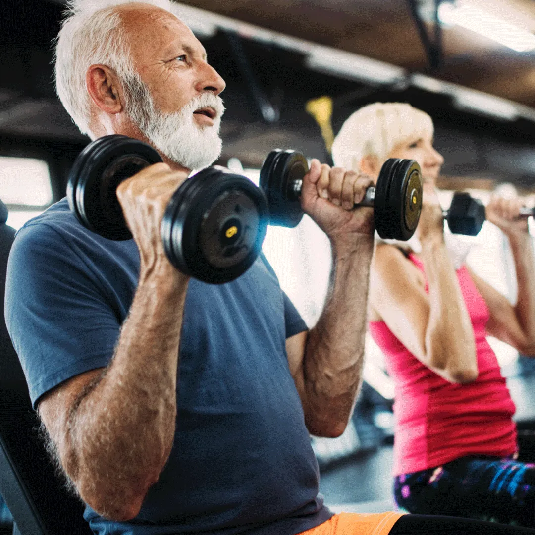 Senior fitness training program in Amsterdam Senior fitness training program in Amsterdam
