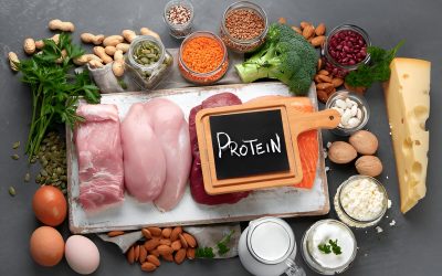 Blog Plantaardige Eiwit vs. Dierlijk Eiwit: Welke Bouwt Spieren Beter?